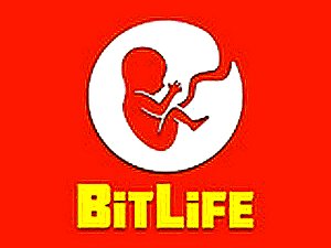 Destiny Crossroads Life Sim
