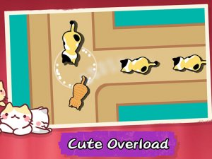 Cat Freeway Action Game