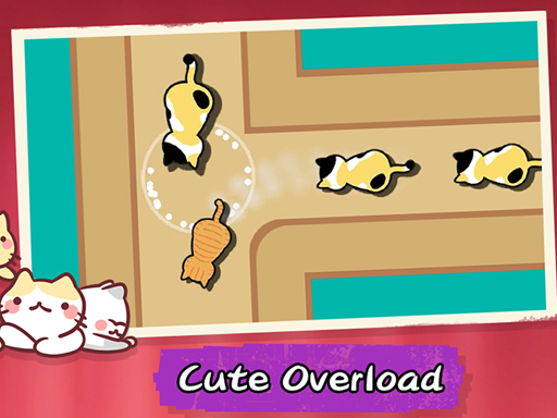 Cat Freeway Action Game