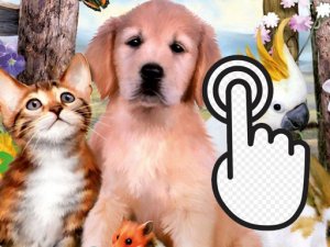 Pets Clicker Arcade Game