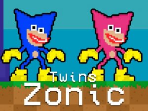 Twins Zonic Adventure Arcade