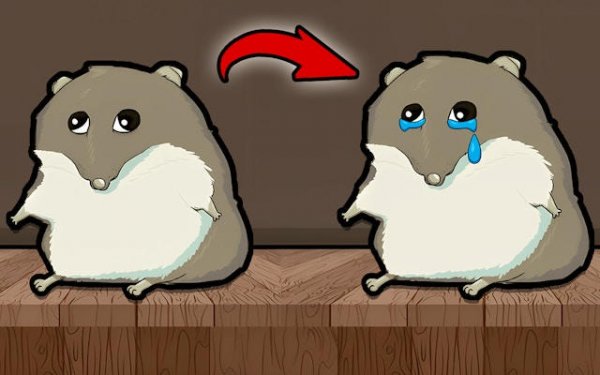 Pet Evolution Click Quest
