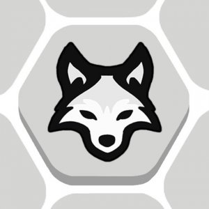 Sheep vs Wolf Puzzle